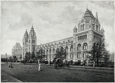 Natural History Museum, South Kensington